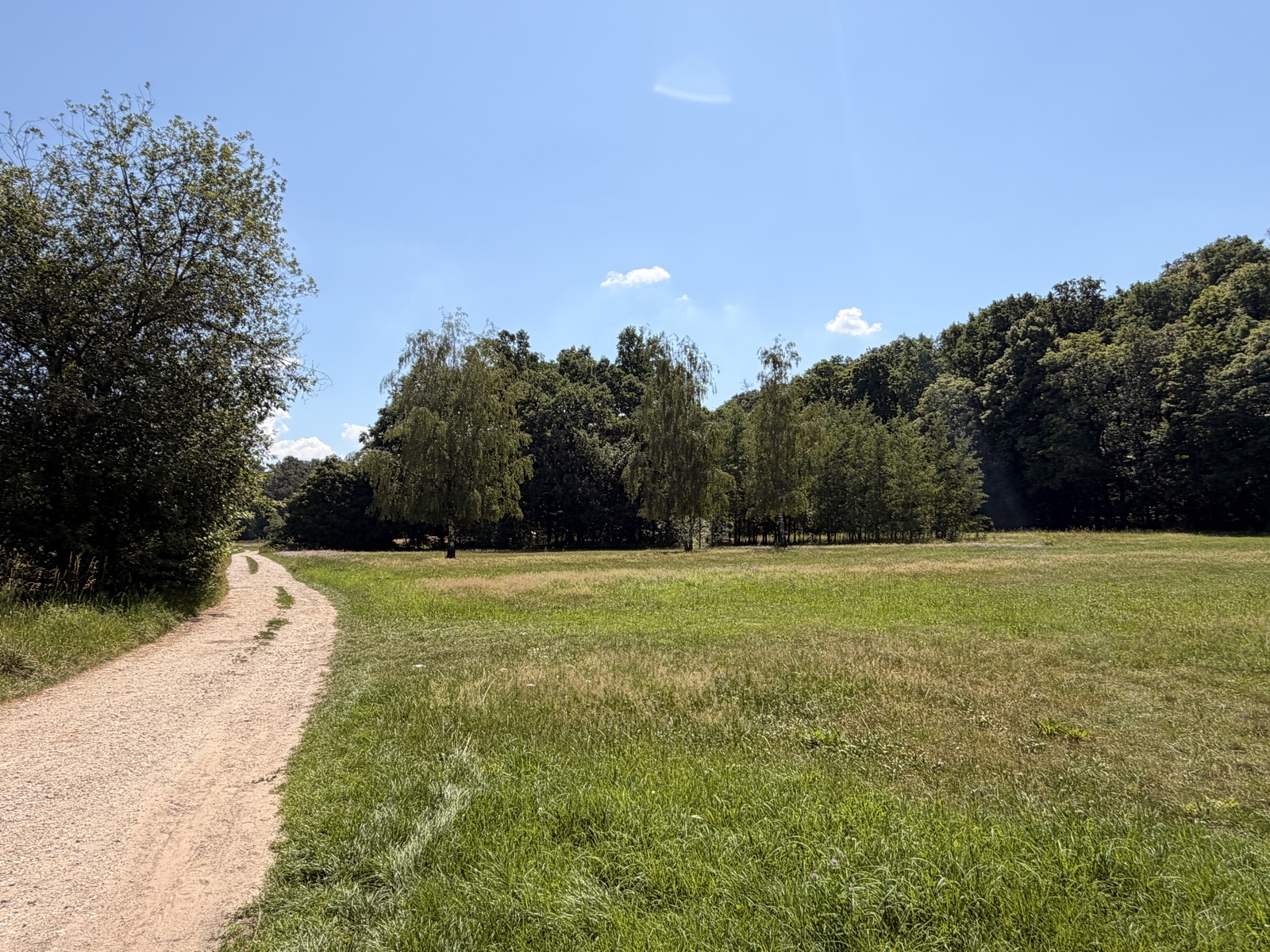 Weg in den Meilwald