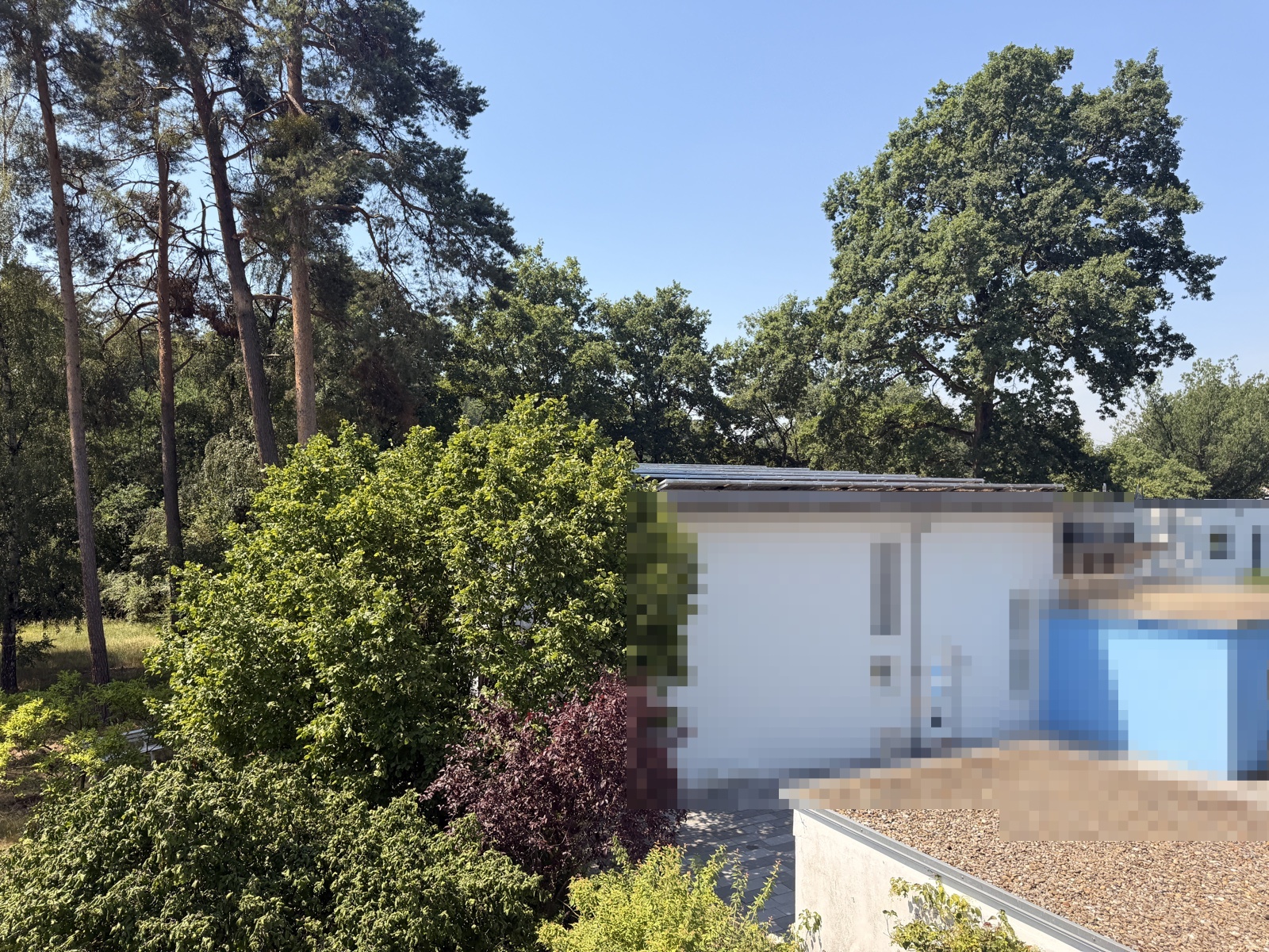 Blick über das Grundstück
